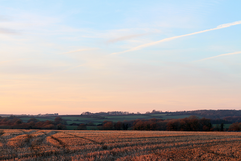 Beautiful Countryside Sunset Photography | The Elgin Avenue Blog