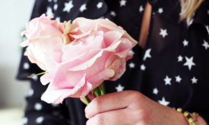 Beautiful Big Pink Roses | Wildbunch Florists Alresford | The Elgin Avenue Blog