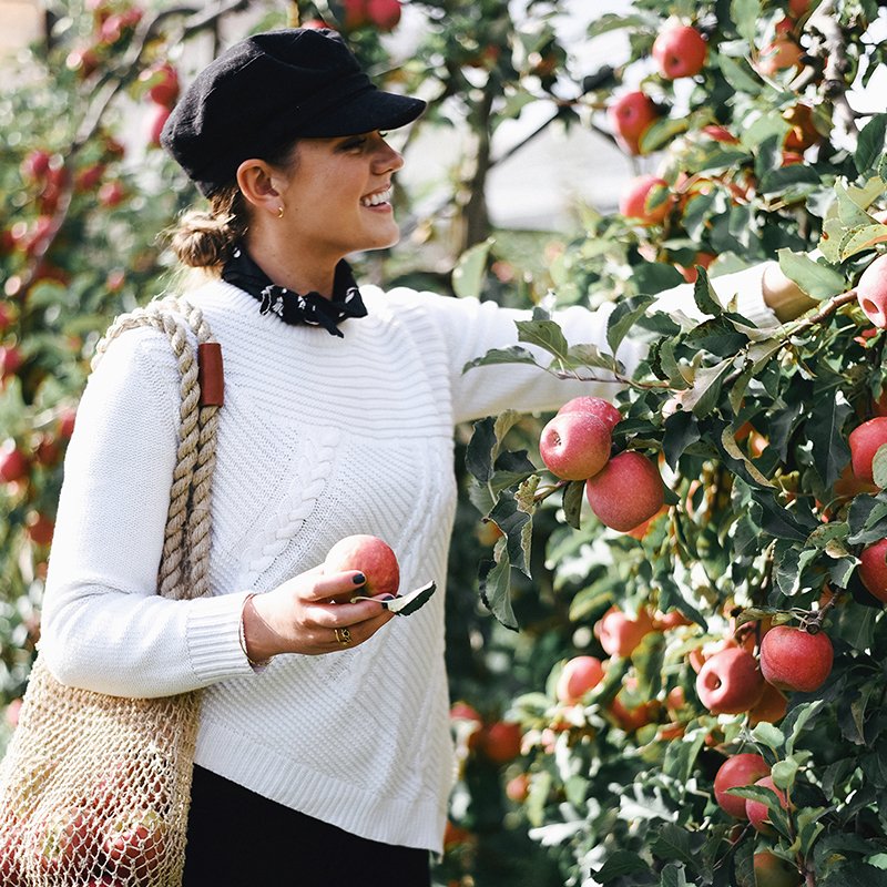 Pink Lady Apple Orchard Avignon France | Monica Beatrice Welburn | The Elgin Avenue blog