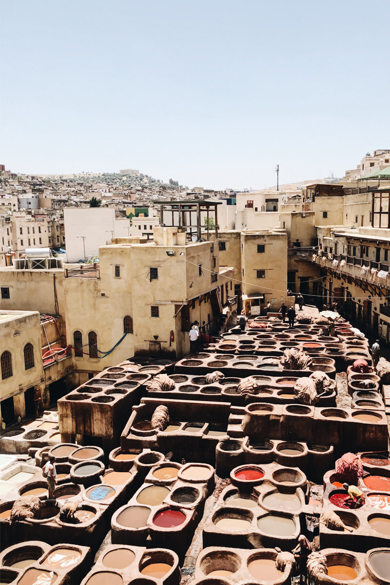 Fez Leather Tannery Morocco | The Elgin Avenue Blog Travel Guide