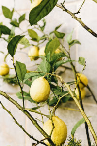 Simple-Moroccan-Lemon-Imagery-The-Elgin-Avenue-Blog