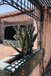 Fes Medina Morocco | The Elgin Avenue Blgo Fes Travel Guide