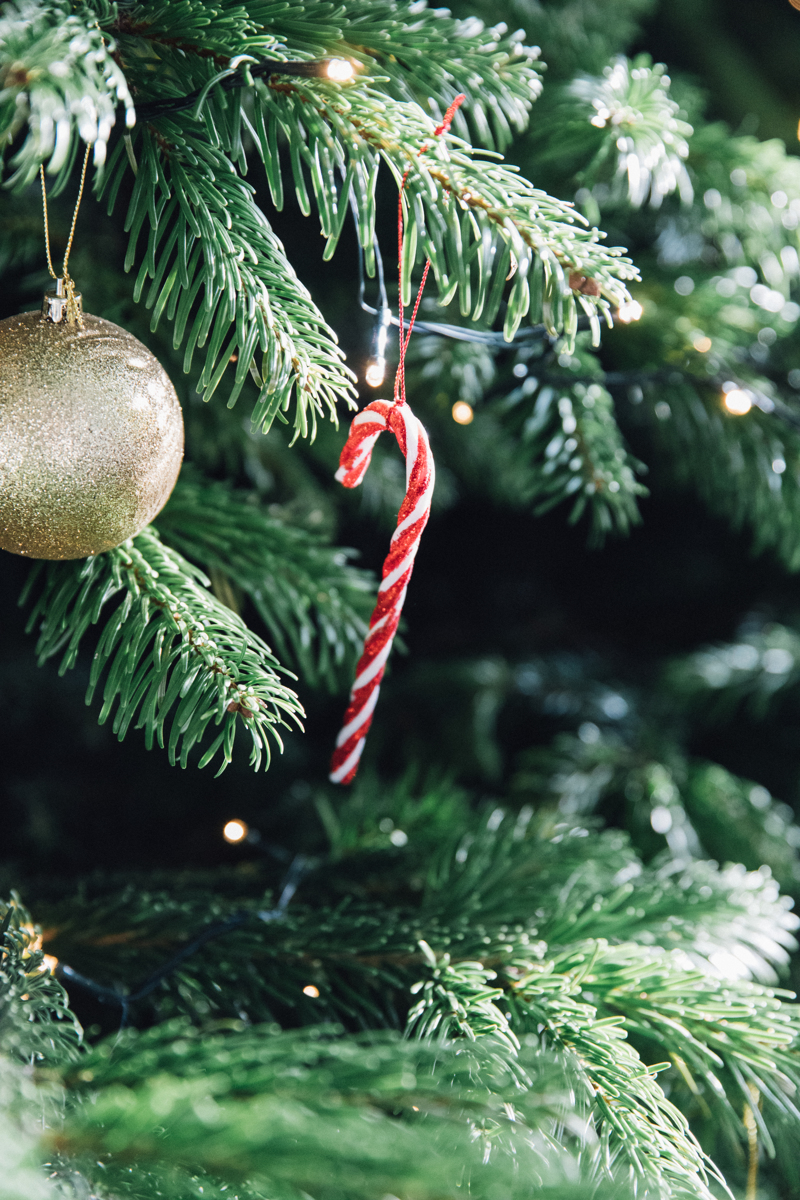 Candy Cane Christmas Tree Decoration | The Elgin Avenue Blog