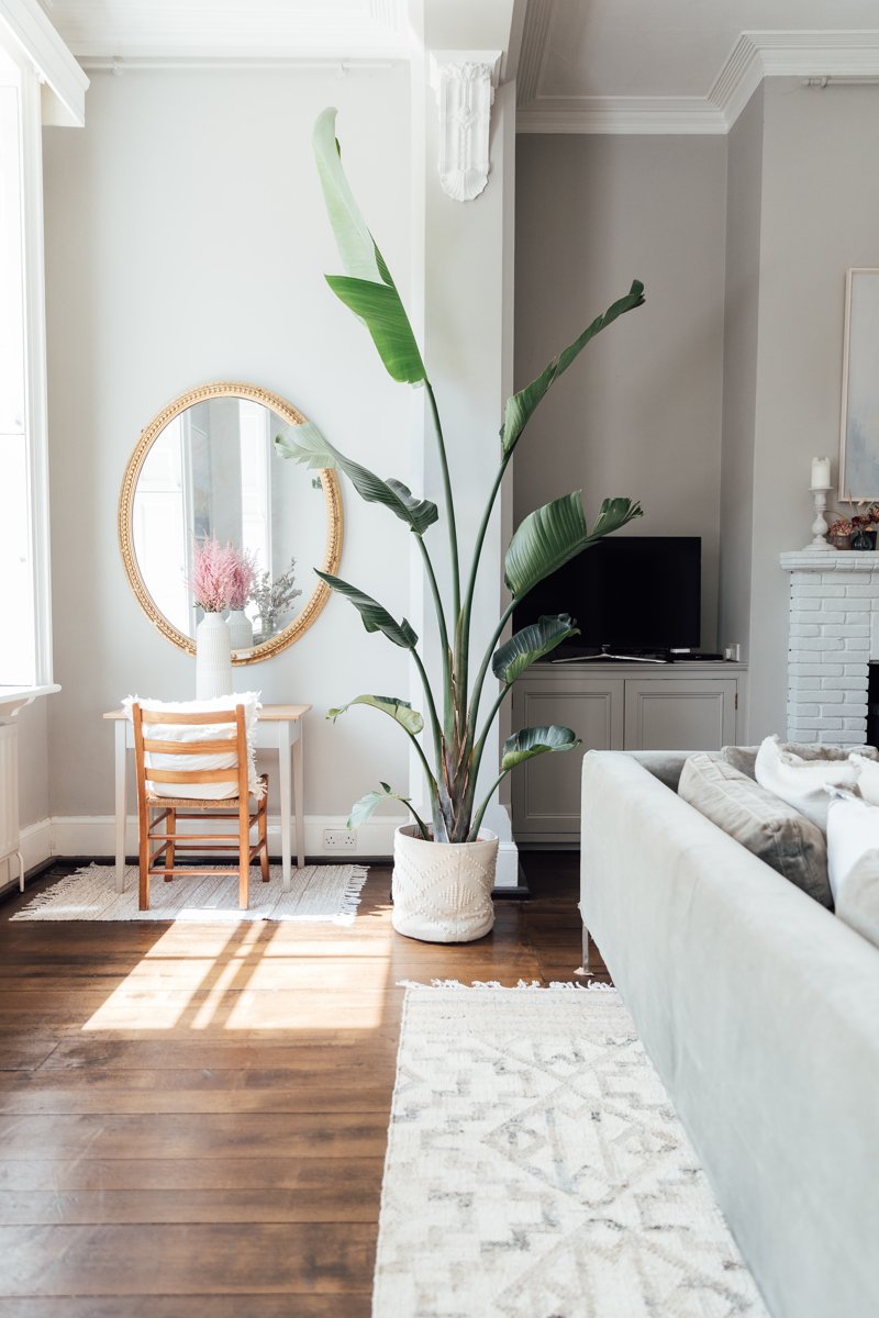 Home Updates for Summer | The Elgin Avenue Blog | Monica Beatrice Home